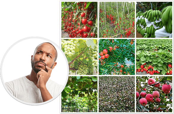 經(jīng)營(yíng)多年農(nóng)資生意的你是否正面臨著以下問(wèn)題？