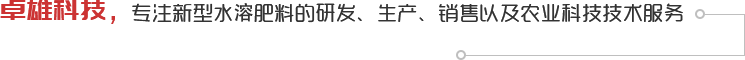 卓雄科技4大優(yōu)勢(shì)