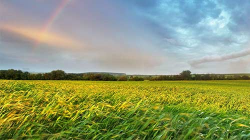 強(qiáng)大的研發(fā)技術(shù)